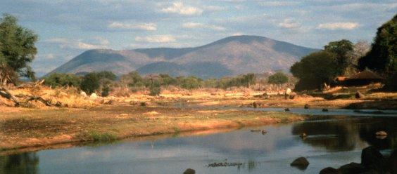 Voyage sur-mesure, Parc National de Ruaha